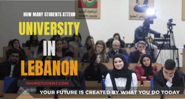 University Education in Lebanon: Student Enrollment Rates