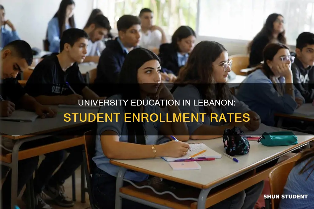 how many students attend university in lebanon