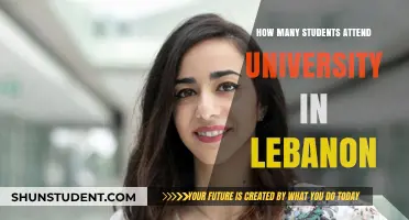 University Education in Lebanon: Student Attendance Explored
