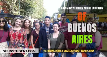 Buenos Aires University Student Population: How Many?