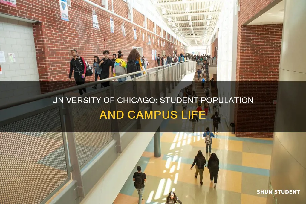 how many students attend university of chicago