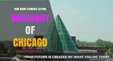 Chicago University's Student Population: A Comprehensive Overview