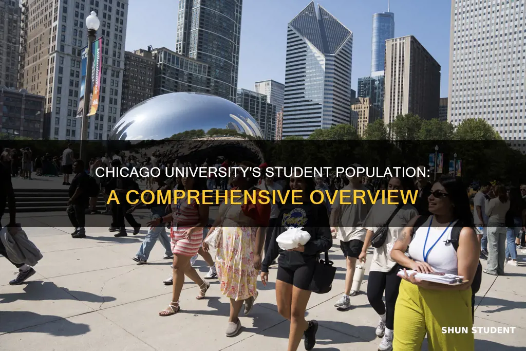 how many students attend university of chicago