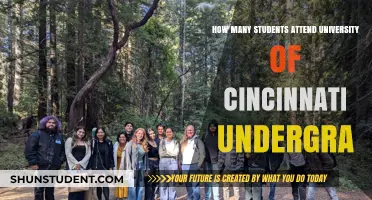 Cincinnati Undergrad Enrollment: How Many Students?
