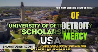University of Detroit Mercy: Student Population Insights