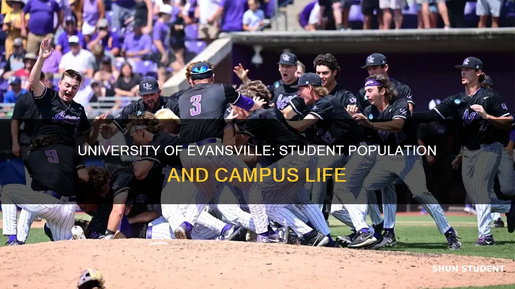 how many students attend university of evansville