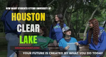 University of Houston Clear Lake: Student Population Insights