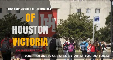 Victoria University of Houston: Student Population Insights