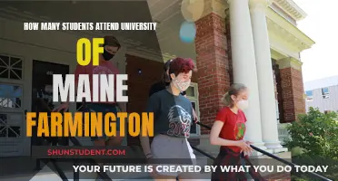 University of Maine Farmington: Student Population Insights