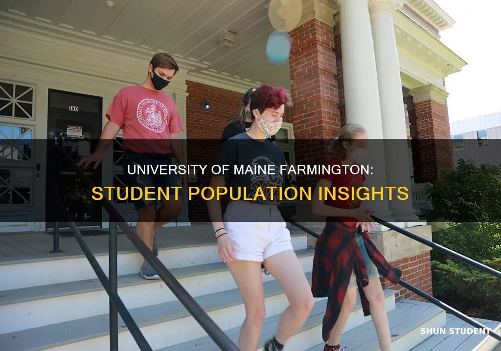 how many students attend university of maine farmington