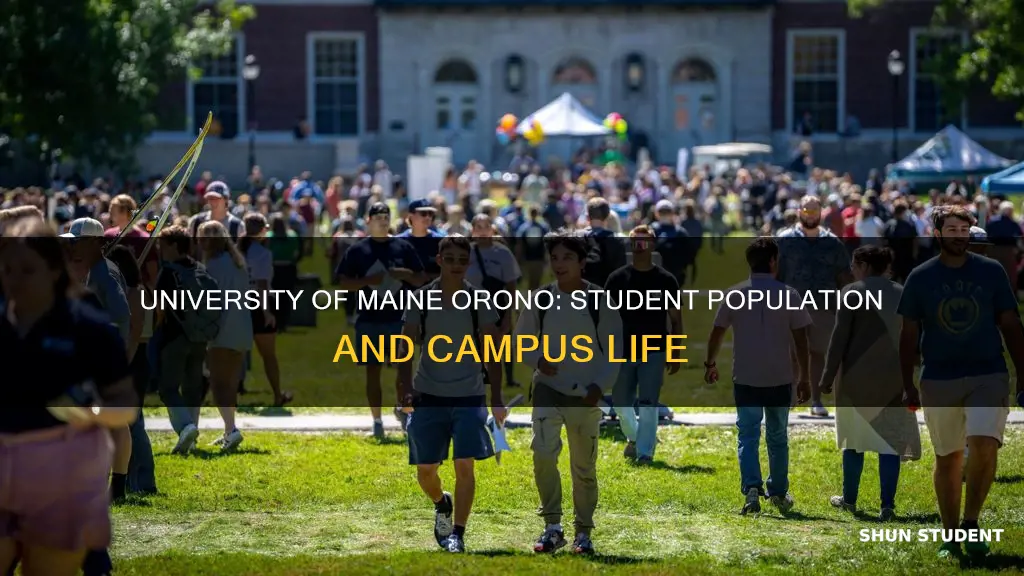 how many students attend university of maine orono