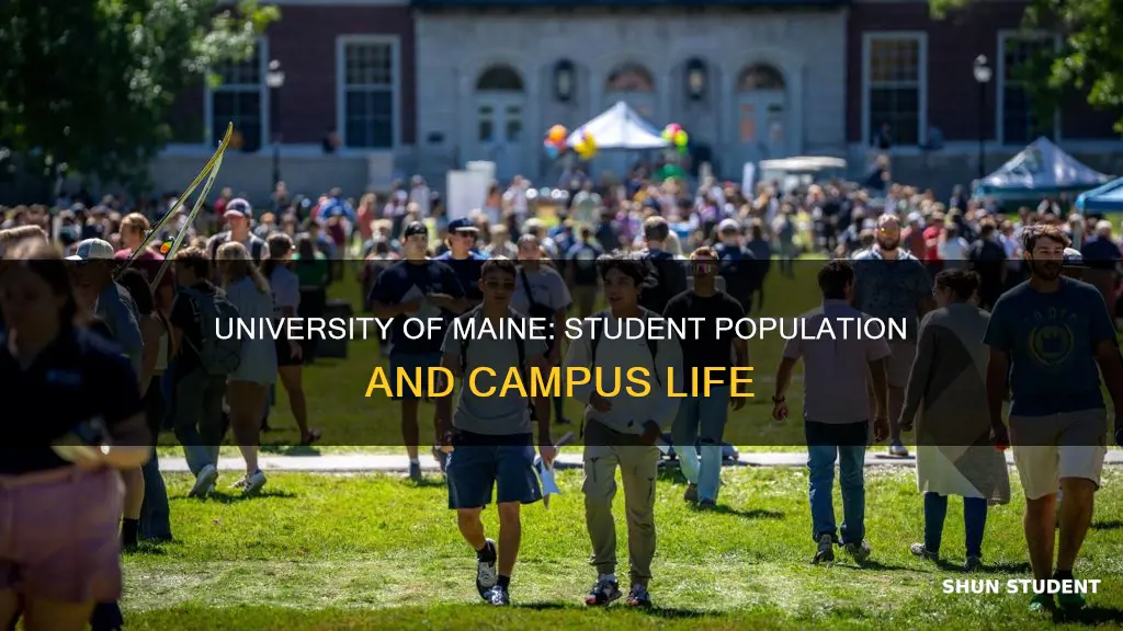 how many students attend university of maine