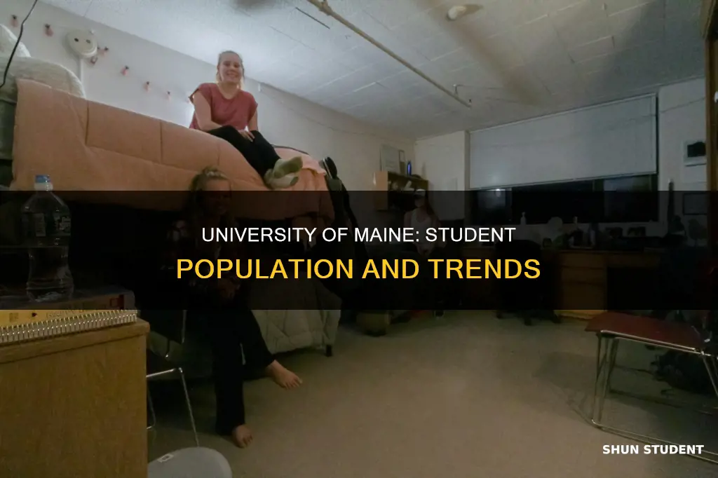 how many students attend university of maine