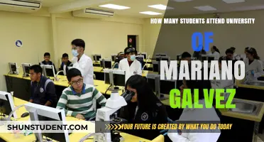 Mariano Galvez University: Student Population Insights