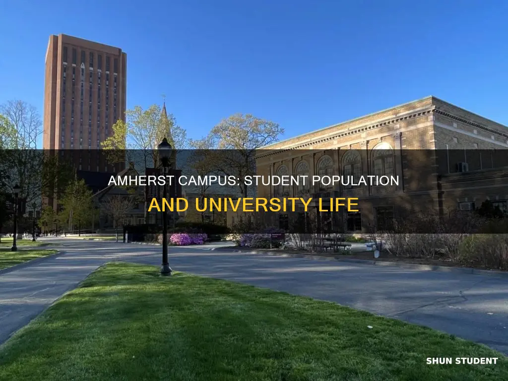how many students attend university of massachusetts amherst