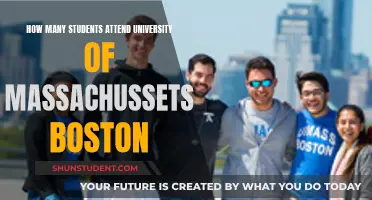 University of Massachusetts Boston: Student Population Insights