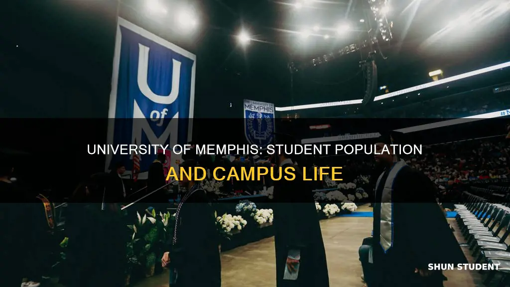 how many students attend university of memphis