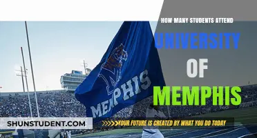 University of Memphis: Student Population Insights