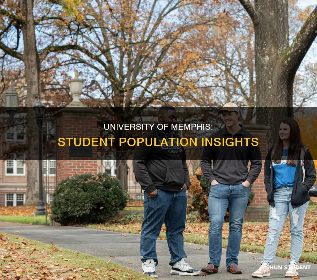 how many students attend university of memphis