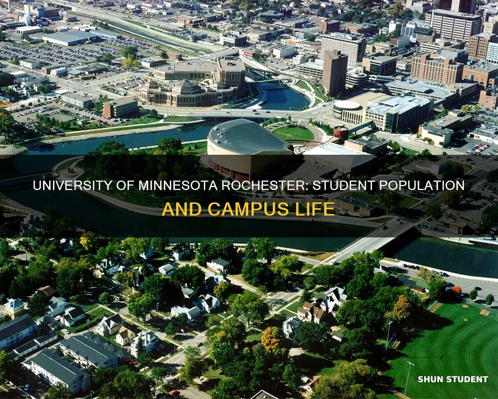 how many students attend university of minnesota rochester