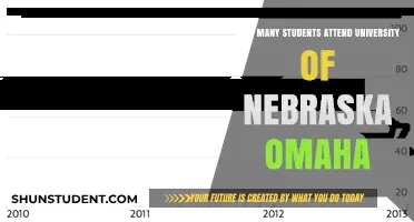 Omaha's University of Nebraska: Student Population Insights
