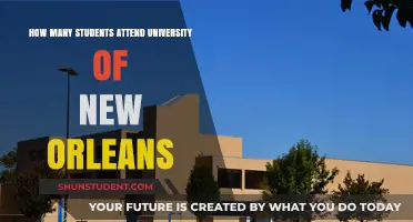 Enrolment Numbers at the University of New Orleans