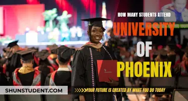 University of Phoenix: Enrollment Figures and Student Population