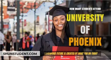 University of Phoenix: Enrollment Figures and Insights