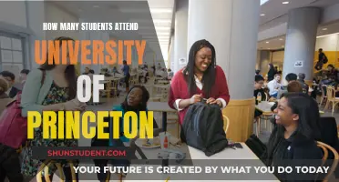 Princeton University's Student Population: How Many Attend?