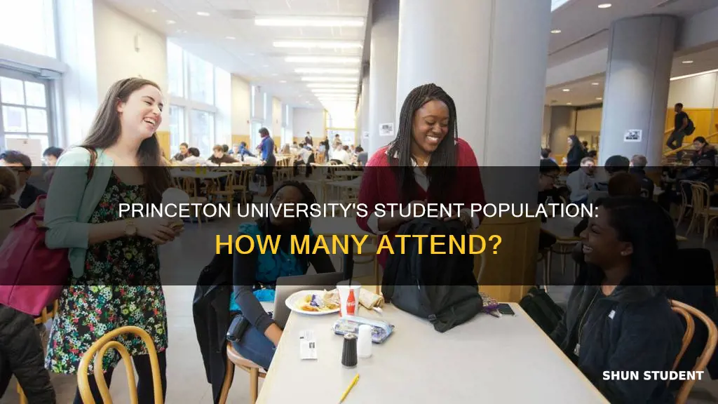 how many students attend university of princeton