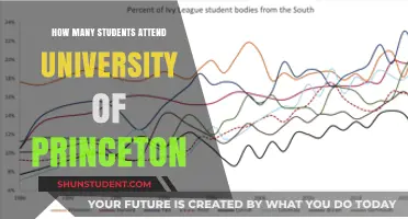 Princeton University: Student Enrollment Numbers Revealed