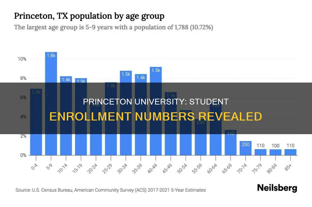 how many students attend university of princeton