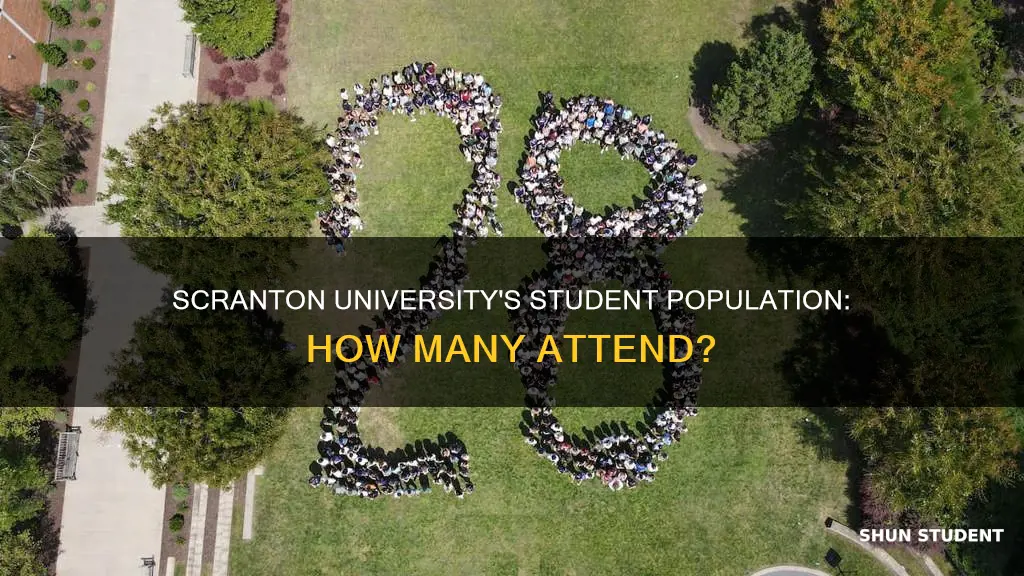 how many students attend university of scranton