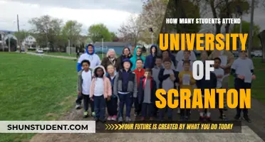 Scranton University: Student Population and Campus Life