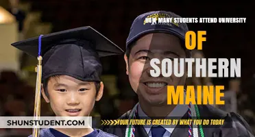 Southern Maine University Student Population Insights