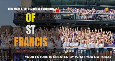 St. Francis University: A Small School with a Big Impact