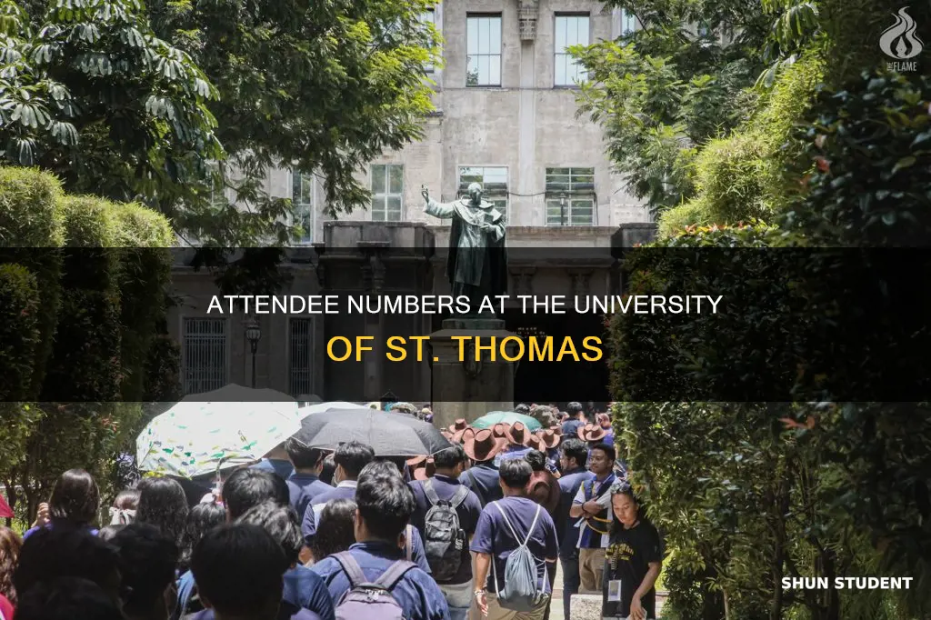 how many students attend university of st thomas
