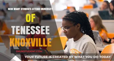 Knoxville's University of Tennessee: Enrollment Figures Unveiled