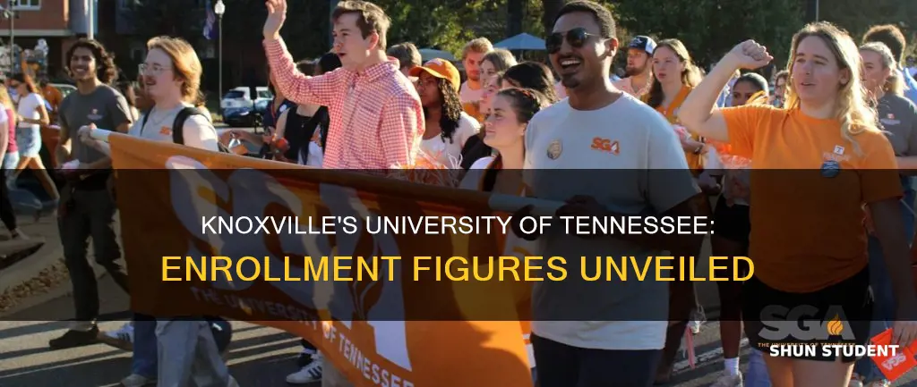 how many students attend university of tenessee knoxville