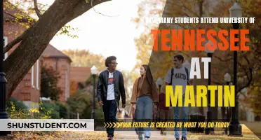 Exploring University of Tennessee at Martin's Student Population