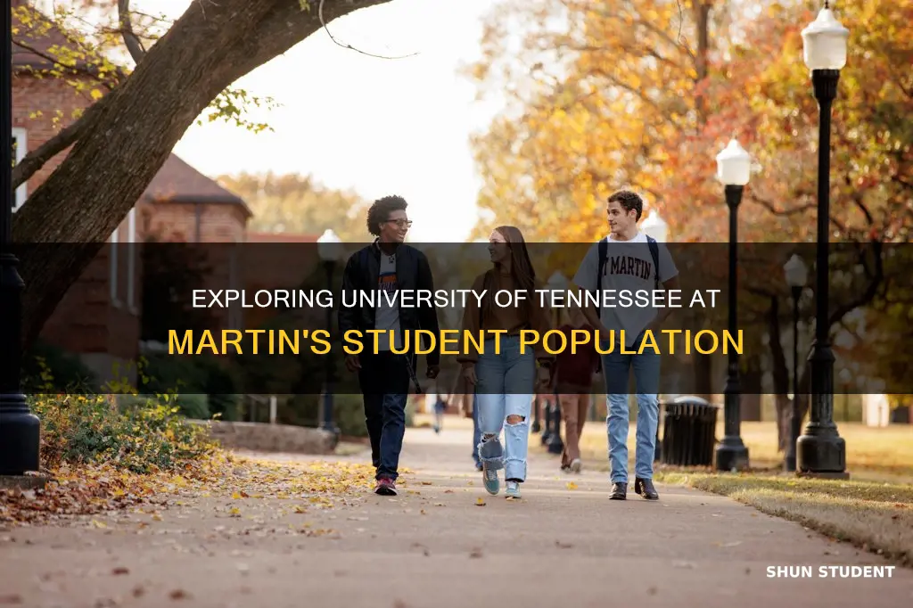 how many students attend university of tennessee at martin