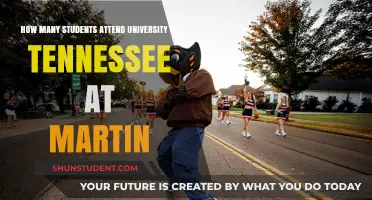 Martin's University: Student Population Insights