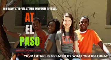 Exploring University of Texas at El Paso's Student Population