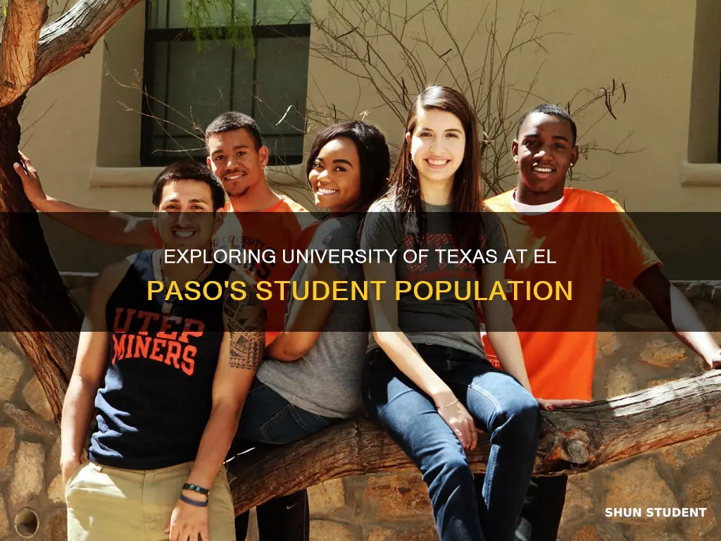 how many students attend university of texas at el paso