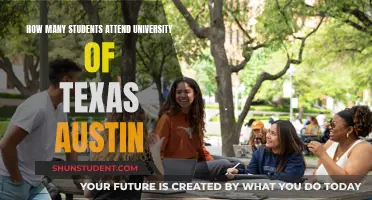 Exploring University of Texas at Austin's Student Population