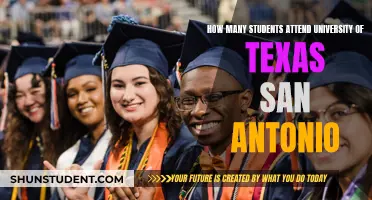 San Antonio's University of Texas: Student Population Insights