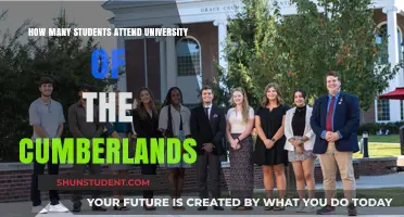 University of the Cumberlands: Student Population Insights
