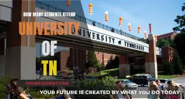 Exploring University of Tennessee: Student Enrollment Figures