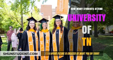 Knoxville's University of Tennessee: Student Population Insights