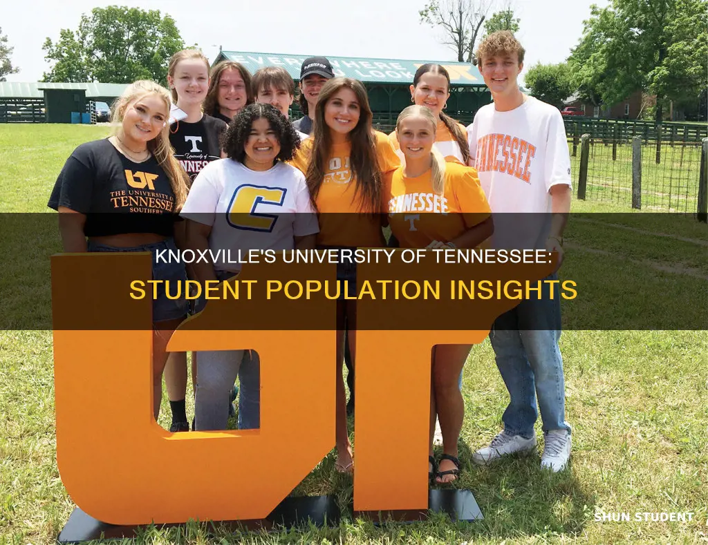 how many students attend university of tn